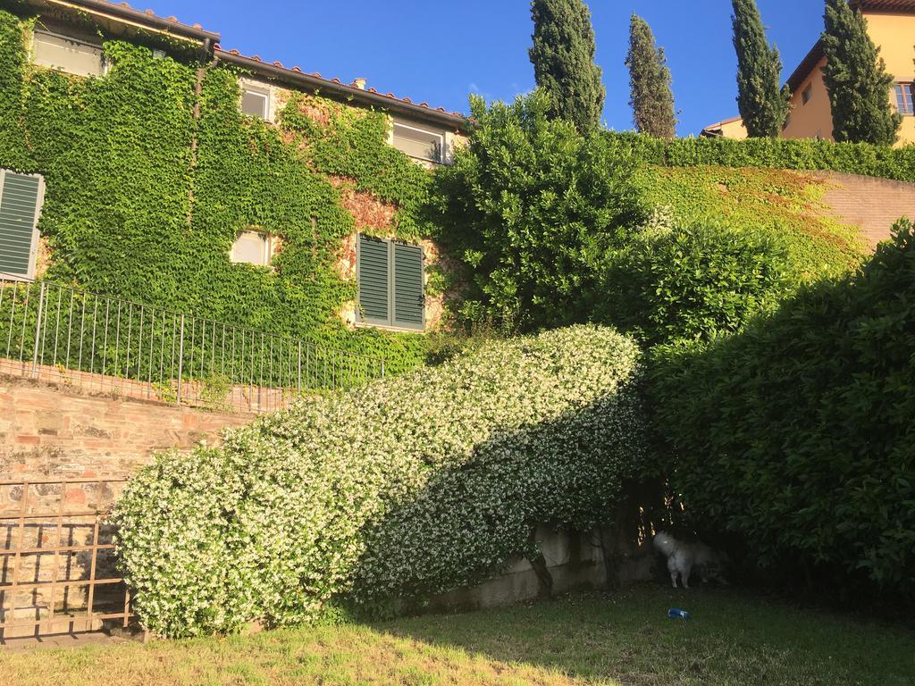 Il Vecchio Frantoio Bed & Breakfast San Miniato Exterior photo